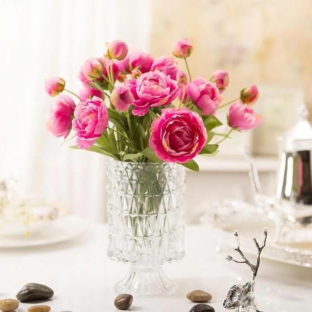 ��ٳ�˳���� ���޿�ħ���Ƕ�ֻ���������