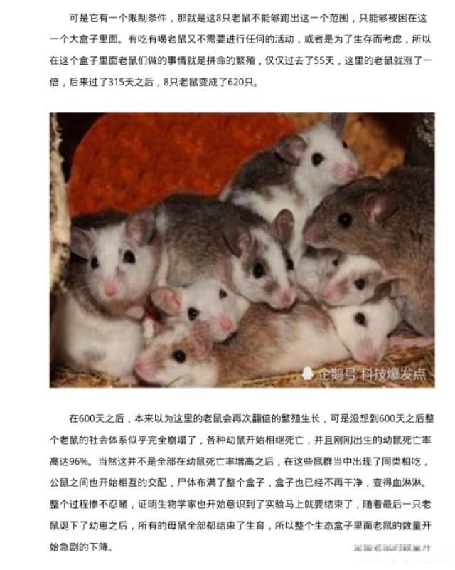 Ϊʲô���������˶������� �����Ӿ�����ѹ��һ��������