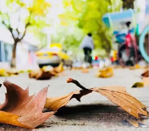 �����ռ�û�ܴ����� ��Ҫ���������ĵ�������������