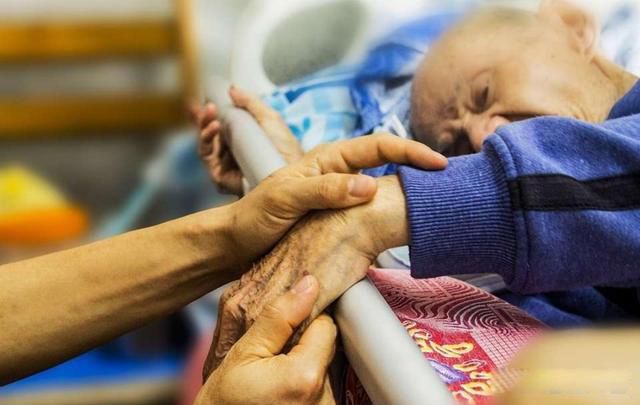 安乐死真的一点痛苦都没有吗没有太明显的不适