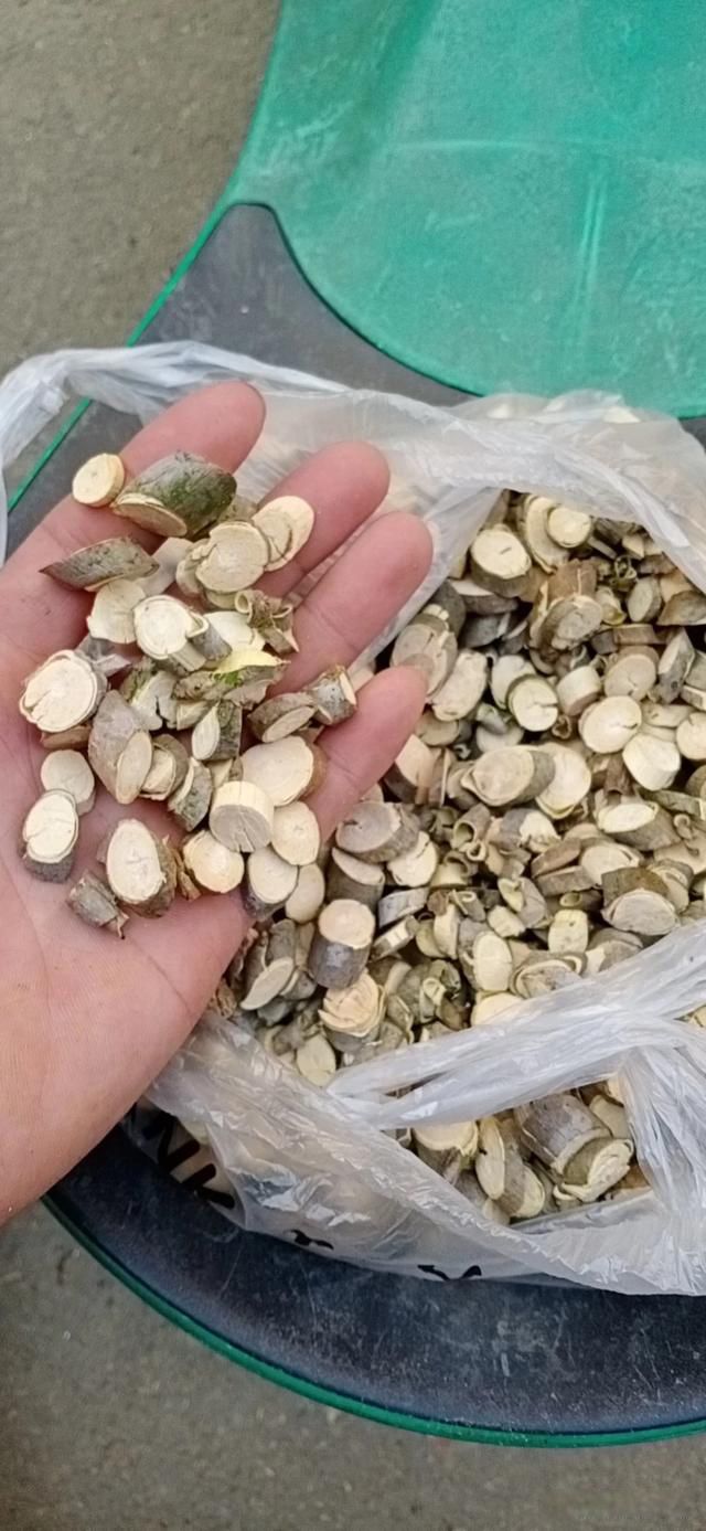 假如新冠病毒长期存在,我们该如何与之共存?