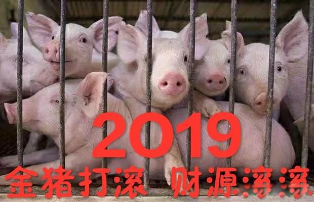 十首最好老歌 说实话太多了