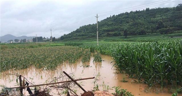 ��Ǯ����ӱߵ���Ǯ��Ȣ���ʲô��˼ ��仰�е�����