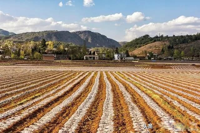 65��70ũ��ÿ�²��� �󲿷ֶ���û�в�����