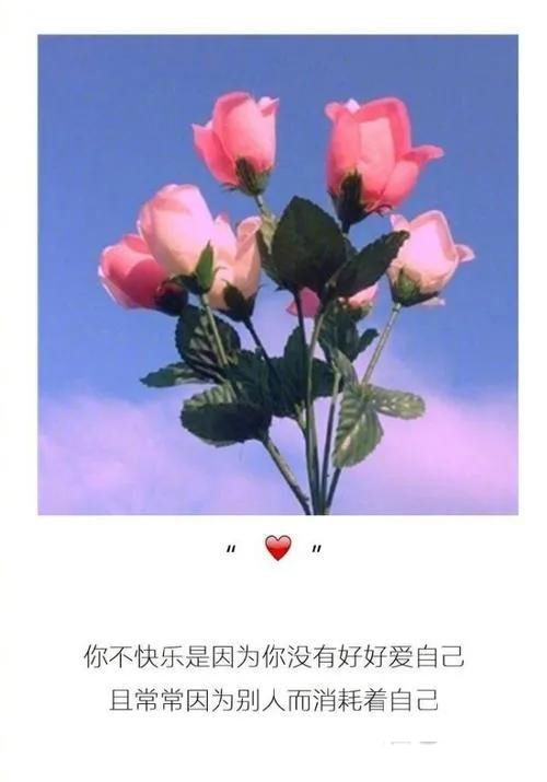 50������Ű�ĵľ��� ������Ϊ֮���ݵľ�����