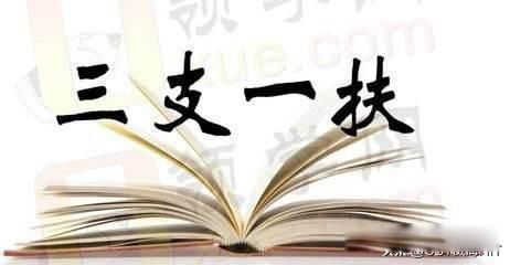 ��֧һ����ʲô��˼ �ô�����������Ҫ�ķ���