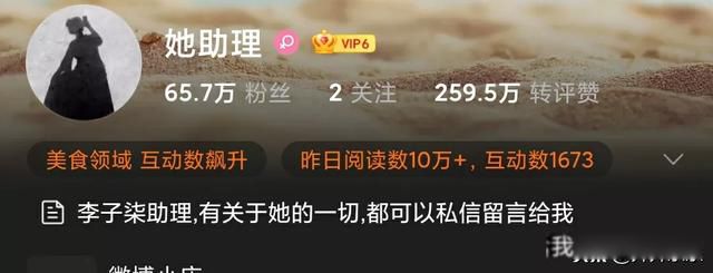 李子柒很久没更新了 突然毫无征兆的停更经历了什么