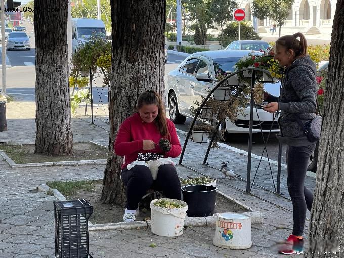 ���󹲺͹������Ĺ� �������ϵ�С������˿�