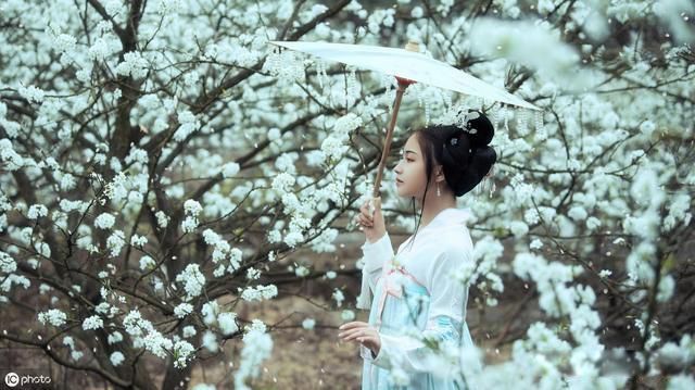 乌发落满梨花,没等来月亮落下什么意思 珍惜时间着手眼前的事