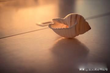 7首经典儿歌推荐 是每个人孩童时候的回忆