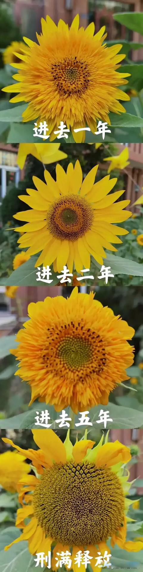 ���ෲ�����¼���չ��ô��û����Ϣ
