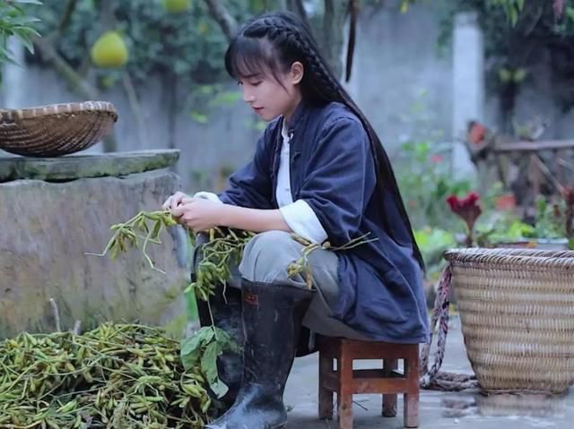 李子柒怎么不更新了 不免让广大粉丝担心起她的安全