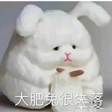 郑爽现状过的咋样 比我们这些素人强一万倍
