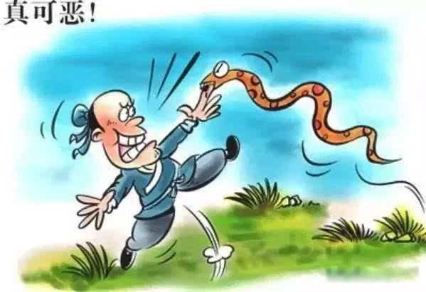 ������ʲô���� �̼�����ζ�Ͷ��