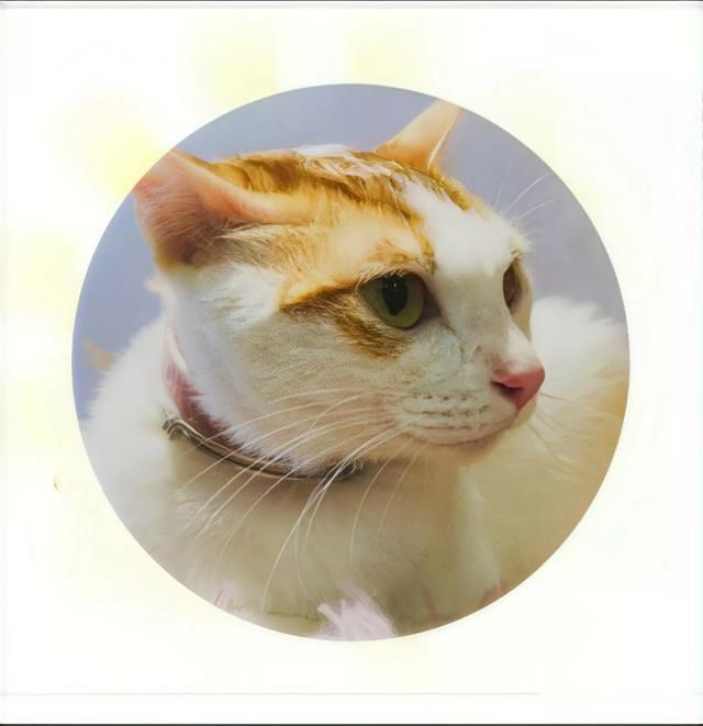 ��s��С��Ϊʲô��� �������̫ǿ�Ƹ���̫��