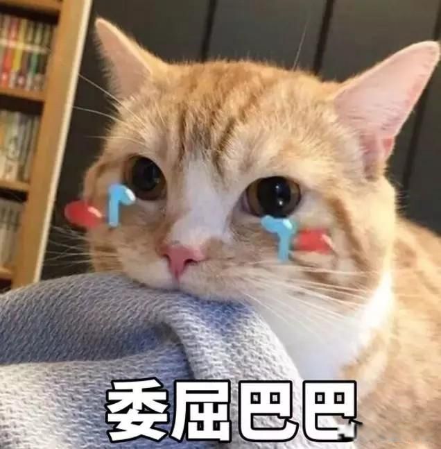 ��ͷ��Ƶ����ʲô���� ������ͷ����˵��Ը��ص�