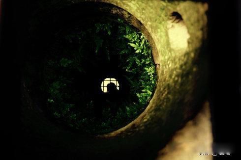 ����˯�����ᱧ���� Ϊʲô����˯��Ҫ����һ��