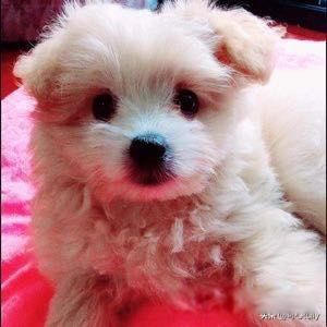 ������ͷ���Ů����ʲô���� ��˵���̲�ס