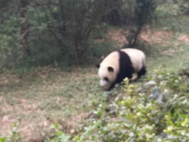 ���Ʊ���˴�,��������ʲô��� �н�������ȫ��Ը