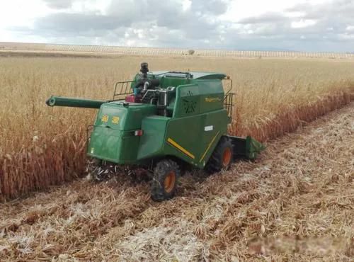 ũ�屩����ҵ����Щ һ�������ı�����ҵ