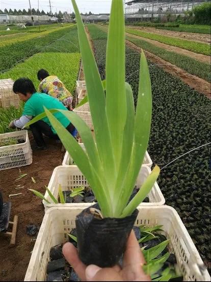 ũ�屩����ҵ����Щ һ�������ı�����ҵ