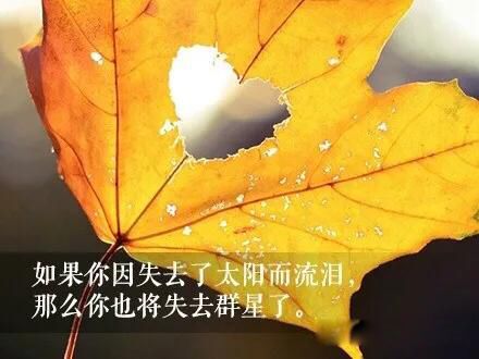 100��Ű�ĵľ��� д��̫������Ϊ�����