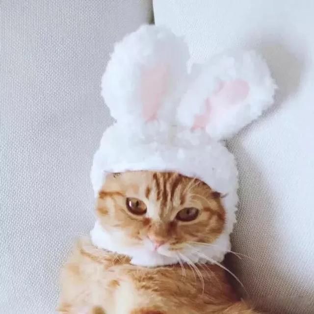 Ϊʲô���������˶������� �޷������¼���ԭ��