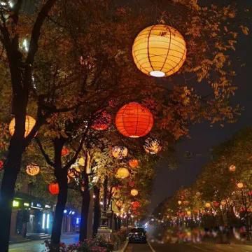 大s汪小菲为什么婚变 感情基础薄弱见了四次面就闪婚