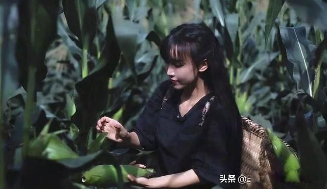 李子柒事件是怎么回事 应该是公司出问题了