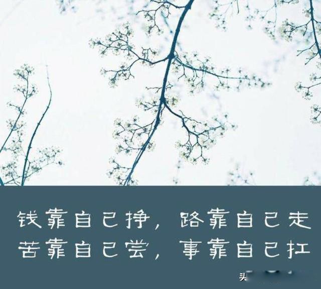 一切还是要靠自己,那些只是点缀!