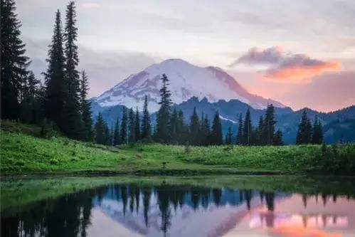 �����˵����Ͻ�����ͣ��!��ô����?�쿴����û���� û���籣��֤