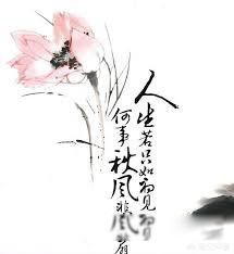 ������ֻ�����,������籯������˼ ��续��֮���