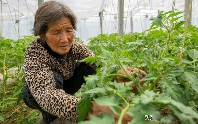 男人无妻财无主女人无夫身落空意思 这句农村俗语有道理吗
