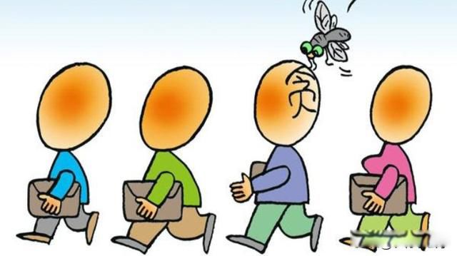 ��Ӭ�����޷�ĵ���ɶ��˼ ��һ����Ǿ����������
