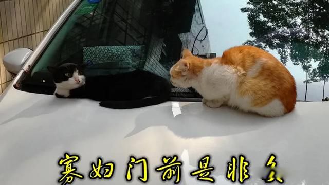 �Ѹ���ǰ�ǷǶ����һ�� ������Ů����������Ⱥ��