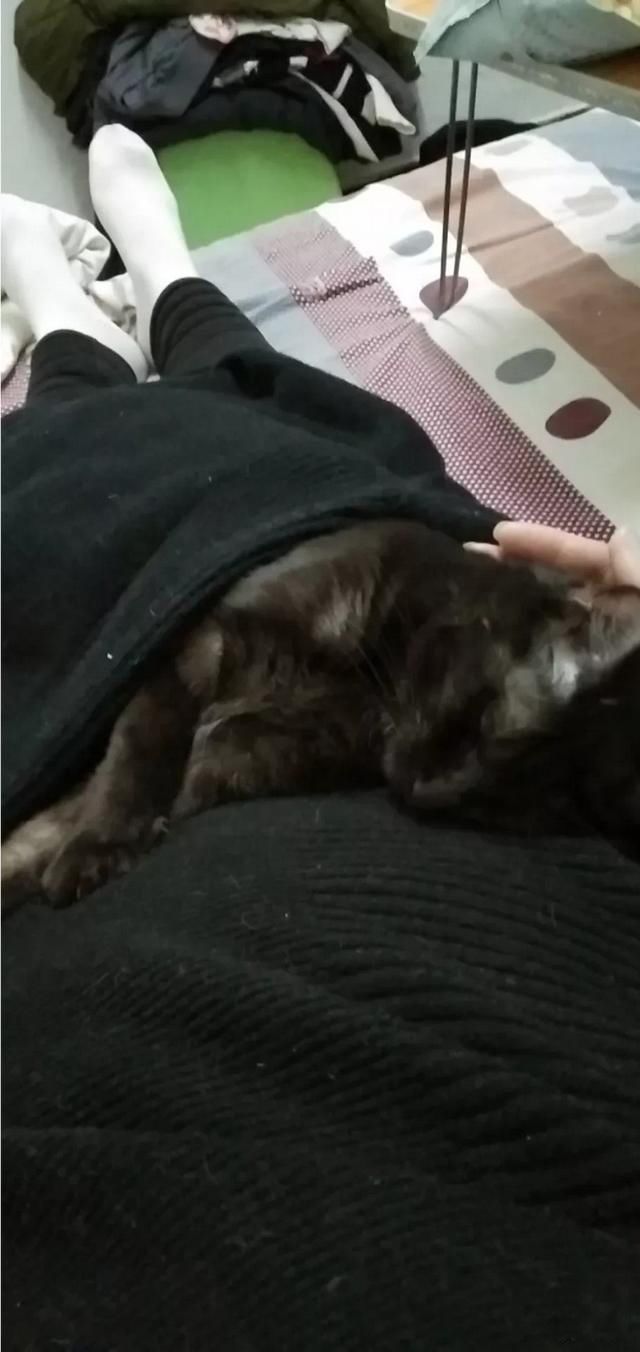 ����˯�����ᱧ���� �ּ��ڿ�����