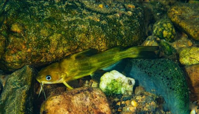 政府开元棋牌- 开元棋牌官方网站- 开元棋牌APP下载领导