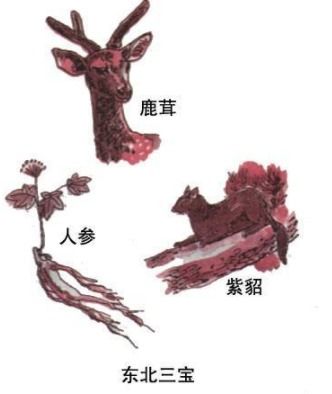 ���������������� �������˲�¹�׺�ɶ