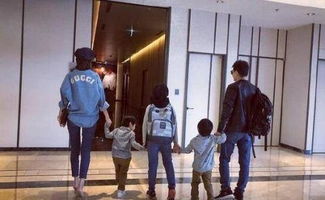 ��־ӱһ����ڵĽ��� �����Լ�˫��̥���ӵĳ���