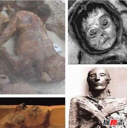 ���й�ʬ����ŮӤ �������¼��������Ϊʲô�ܻ�72Сʱ