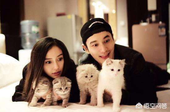 黄晓明和杨颖为什么离了婚 没有实锤又没有有利证据