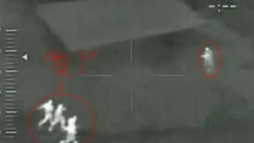 ����˹������ʬ�¼�������ʲô ��ʬ������Ƶ�������