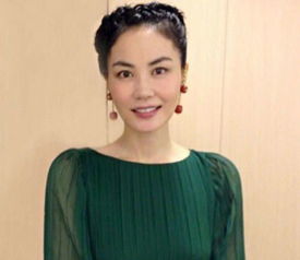 ���Ƶĸ������� ����ʷ���θ���ع�