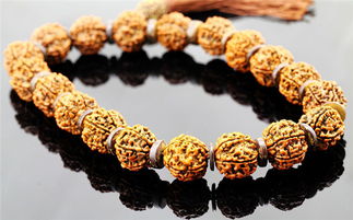 ������������������ʲô �����Ҵ��������������Ľ���