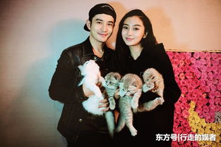 杨颖和黄晓明为什么离了婚 明星结婚与普通人结婚不一样