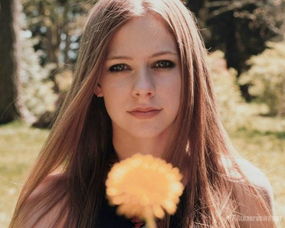 ��ޱ���ľ����������Щ ��ޱ��ʮ�󾭵����