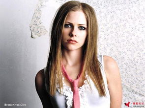 ��ޱ���ľ����������Щ ��ޱ��ʮ�󾭵����