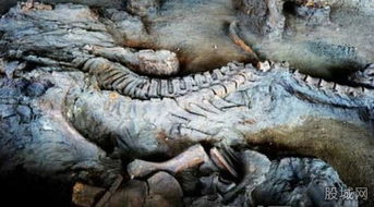 中国不敢公开发现龙 中国真的有两条真龙渡劫事件出现吗