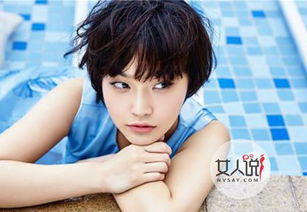 �ż�������������ʲô��ϵ �ż����ľ˾���������