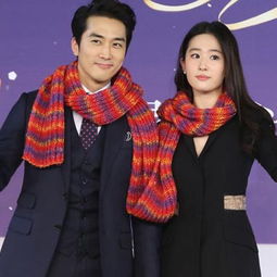 Ԫ������Ӣ�������� ����ô��ϲ������Ӣ